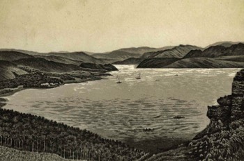  Panorama View 